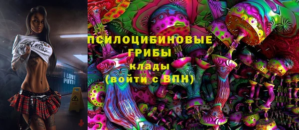 амфетамин Белокуриха